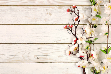 Similar image 22050958