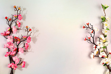 Similar image 22050959