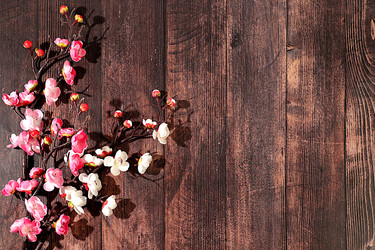 Similar image 22050960