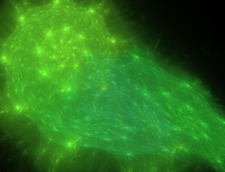 Similar image 22050055