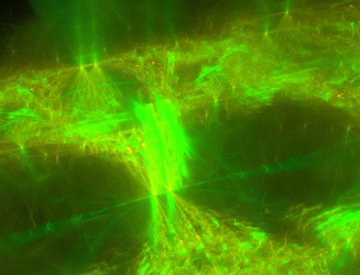 Similar image 22050071