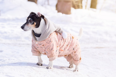 Similar image 22049147