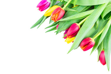 Similar image 22049172