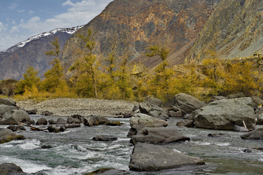 Similar image 22050080