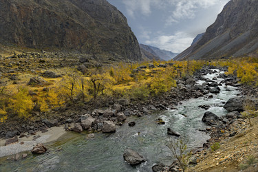 Similar image 22050081