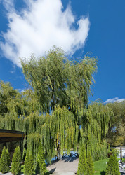 Similar image 22057167