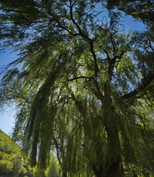 Similar image 22057188