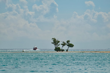 Similar image 22050084