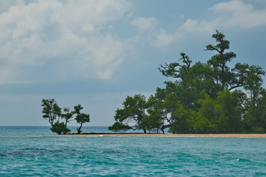 Similar image 22050085