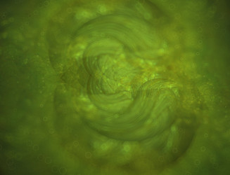 Similar image 22049195