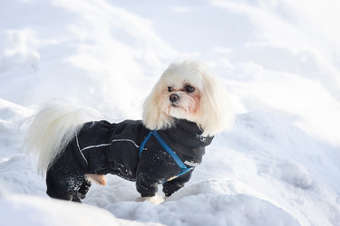 Similar image 22049229