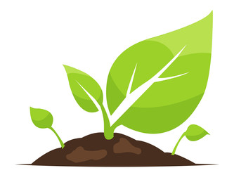 Similar image 22053149