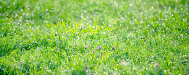 Similar image 22051205