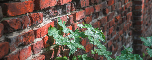 Similar image 22051206