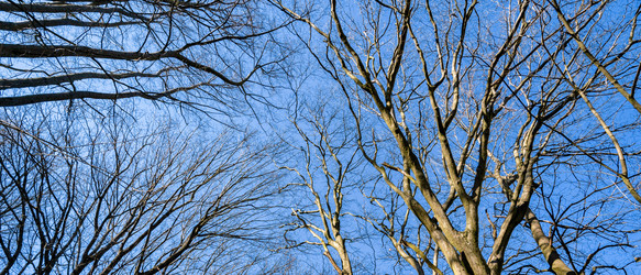 Similar image 22051207