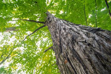 Similar image 22051208