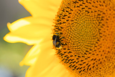 Similar image 22051209