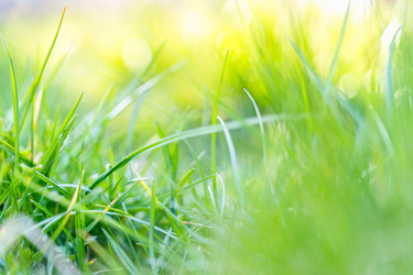 Similar image 22051211