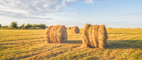 Similar image 22051217