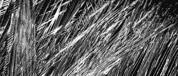 Similar image 22051218