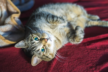 Similar image 22051219