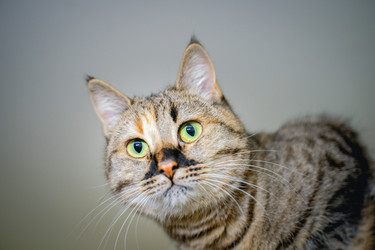 Similar image 22051220