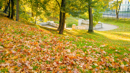 Similar image 22051223