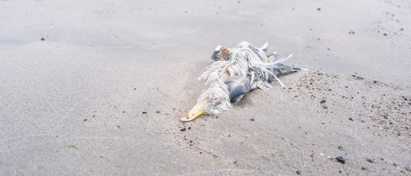 Similar image 22051226