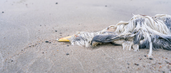 Similar image 22051227