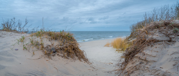 Similar image 22051229