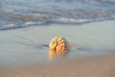 Similar image 22051232