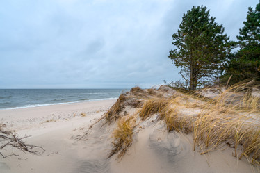 Similar image 22051233