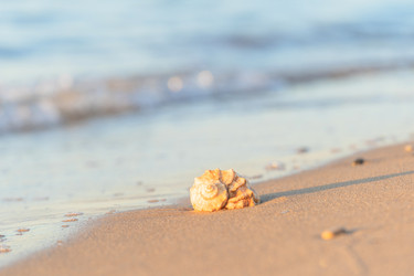 Similar image 22051234