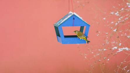 Similar image 22051235