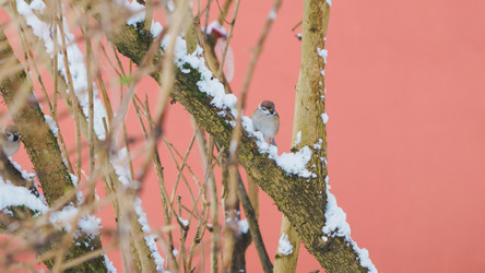 Similar image 22051236