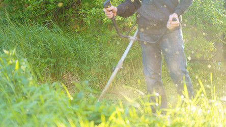 Similar image 22051240