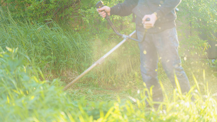 Similar image 22051241