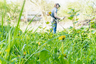 Similar image 22051247