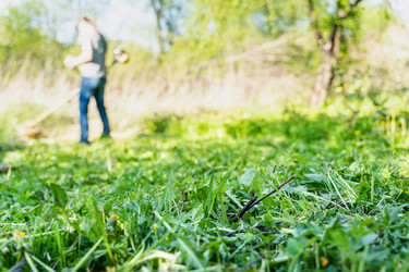 Similar image 22051248