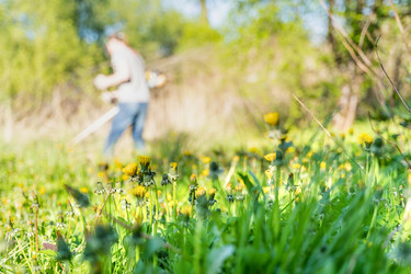 Similar image 22051249