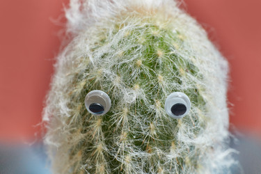 Similar image 22050581