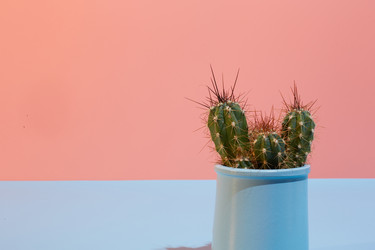 Similar image 22050582