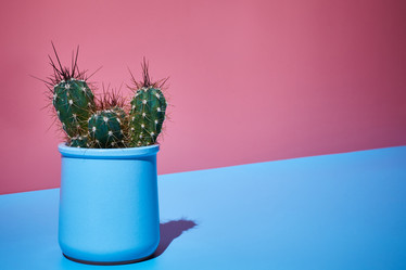 Similar image 22050583