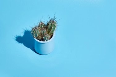 Similar image 22050587