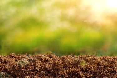 Similar image 22050596