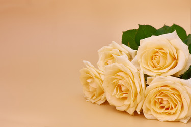 Similar image 22050609