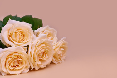 Similar image 22050610