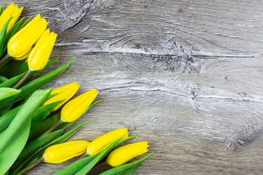 Similar image 22049282