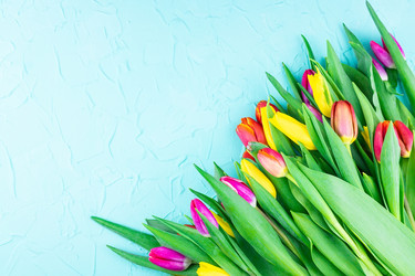 Similar image 22049292