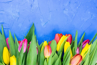 Similar image 22049296